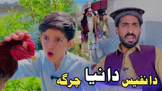 Da Nafees Da Nya Charga | Pashto Funny Video | Pashto Drama 2024