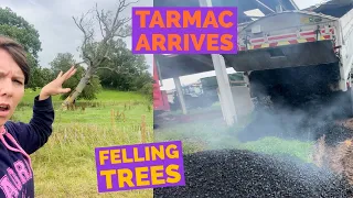 Mini merlo vs. Tree… tarmac on the farm