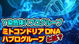 遺伝子から見る日本人のルーツ…Y染色体・ミトコンドリアDNAハプログループとは？