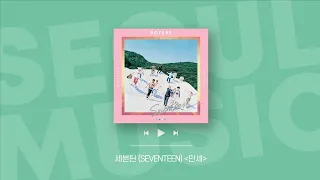 [Playlist] 여름 청량 국가대표 아이돌 🌞 세븐틴 플레이리스트 | Seventeen Playlist