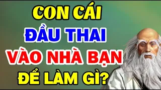 CON CÁI Đến Với CHA MẸ Có Phải Là DUYÊN NỢ, Nghe Một Lần Là Sẽ Rõ | Lời Dạy Cổ Nhân