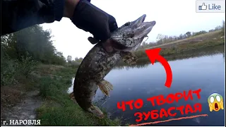 Щука Сходит с Ума от Этой Приманки!!