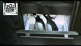 Mr. Popper's Penguins Blu-ray and DVD | Fox Family Entertainment