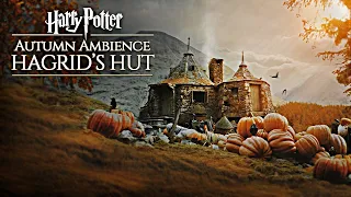 Hogwarts Autumn 🍂 Hagrid's Hut ◈ Harry Potter inspired Ambience / Falling Leaves + Rain showers