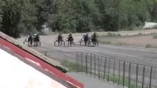 Заезд квалификационный (Лошади-Horse–Animal-racing-конь-смотреть-онлайн-скачки)