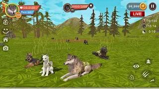 🔴LIVE | WildCraft: Quest - Transformation And The Wolf - Quest - Coop & Pvp