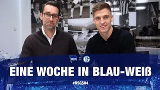 HAHOHE - Eine Woche in Blau-Weiß - 20. Spieltag - Schalke 04 - Hertha BSC