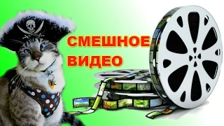 смешные Самое смешное видео курьезы  неудачи  май 2016 #002