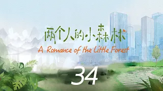 A Romance of the Little Forest EP34 | Yu Shuxin, Zhang Binbin | CROTON MEDIA English Official