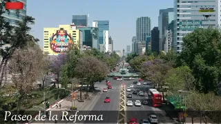 Reforma cdmx en drone