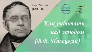 Как работать дома над этюдом (В.В. Пясецкий)