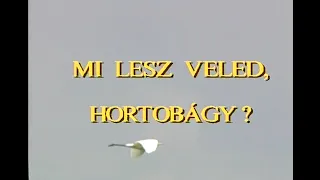 Mi lesz veled, Hortobágy?