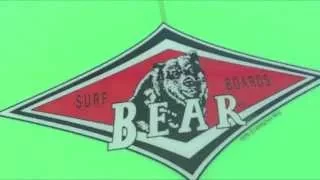Bear Wombat Surfboard Review