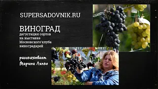 Дегустация винограда с Мариной Липко