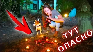 НОЧЬ НА ОСТРОВЕ ДУХОВ ПРОКЛЯТЫЕ ВЕЩИ ВОСЬМАЯ НОЧЬ ЯХТА ЭЛЛИ ДИ #17 | Elli Di