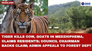 TIGER KILLS COW, GOATS IN MEDZHIPHEMA, CLAIMS RESIDENTS; COUNCIL CHAIRMAN BACKS CLAIM