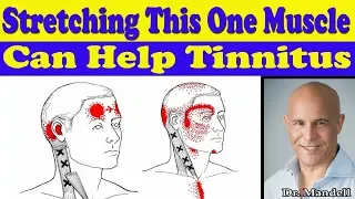 Stretching This One Neck Muscle Can Help Your Tinnitus - Dr Alan Mandell, DC