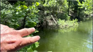 Catch Bass During The Bluegill Spawn…(On The Water Tutorial)