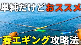 【実釣解説】これからの時期のエギングにオススメしたい簡単な攻略法を、実際に釣って解説します。