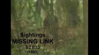 Sightings—MISSING LINK (1993)