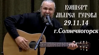 Концерт Андрея Гурова 29 11 14