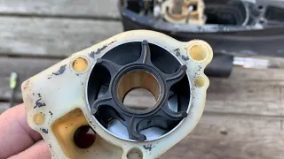 IMPELLER BACKWARDS