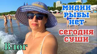 КУПИЛА овощей ! Не хотим готовить ДОМА ! По улицам Лазура