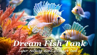Dream fish tank | Relaxing music heals the heart and soul | Soothing water sounds