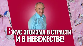 Вкус эгоизма в страсти и в невежестве! Торсунов - прямой эфир