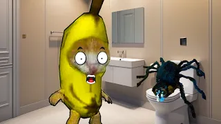 BANANA CAT SCARED OF A BIG SPIDER IN TOILET 🙀🕷️