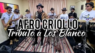 Afro Criollo - Los Blanco Mix (Tributo) Volando, Que Muchacho, Las Avispas, La Mula Baya..