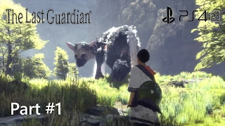 The Last Guardian - Walkthrough Part 1 [PS4 Pro] 1080p HD