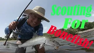 Scouting for a new BONEFISH spot!! (signs to look for when finding a good spot)