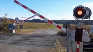 Passage de train dans l'est lyonnais-L'INTEGRALE 2021