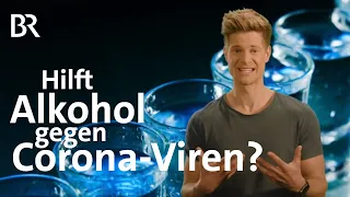 Hilft Alkohol gegen Corona-Viren? | Coronavirus | BR