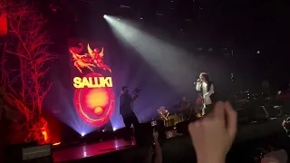 Saluki - Вылечим (Live) Москва 19.11.2023