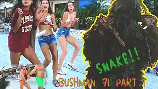 Bushman 71 part 1 SNAKE!!!!