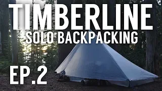 Solo Backpacking on the Timberline Trail | Part 2 | Mt. Hood Oregon