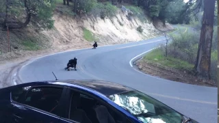 Crazy skateboarders on Highway 138 in Crestline California (slo-mo)