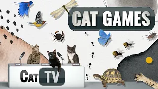 Cat Games | Ultimate Cat TV Compilation Vol 12 | 1 HOUR 🐱📺🎈🦜🐜🐭🧵🐝🐞🦋🦎