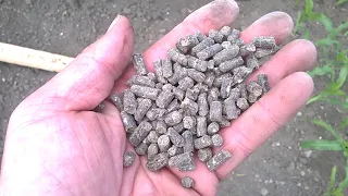 westland organic natural chicken manure pellets.