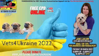 Jane Ladlow - BOAS: top tips for diagnosis and management - Vets4Ukraine2022 Free Webinar