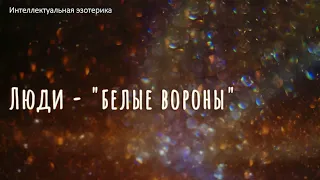 Люди Белые вороны зачем существуют на земле. #одиночество #чудо #ктоя #самооценка