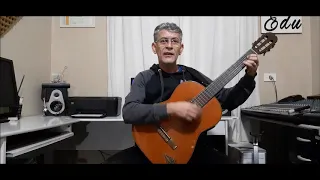 Aula -  25 -  Música -  Pra não dizer que não falei das flores - Geraldo Vandre -Eduardo Torres