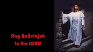 Sing Hallelujah - 3 verses