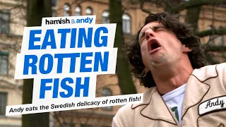 Eating Rotten Fish | Hamish & Andy