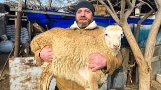 Pilaf Cooked Inside A Whole Sheep in The Oven! An Incredible Way to Serve A Dish