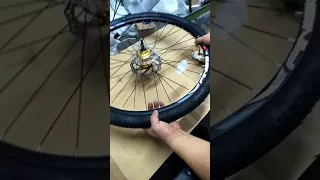 Fix bike freewheel wobble