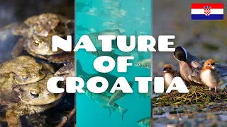 DISCOVER CROATIA: Nature of Croatia