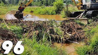 A Local Resident Tried To Lower The Water Level With A Drainage Pipe - Beaver Dam Removal No.96